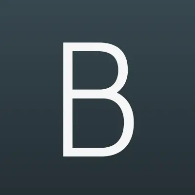 BT Boy, магазин молодежной одежды, лого-визитка