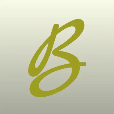 Бухгалтер плюс, лого-визитка