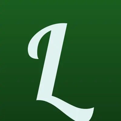Ломбард Южный Экспресс, лого-визитка