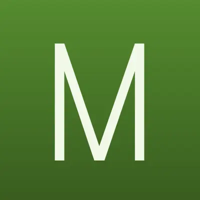 МЕТИЗ, магазин строительно-хозяйственных товаров и инструментов, лого-визитка