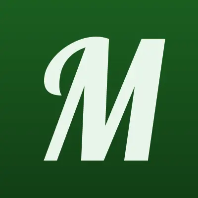 Муравей, строительная компания, лого-визитка