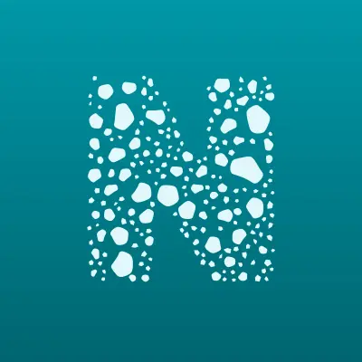 НИП ИНФОРМАЦИОННЫЕ ТЕХНОЛОГИИ, лого-визитка