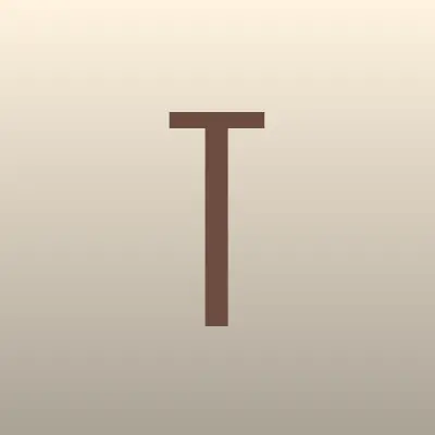 Транспортная компания, ИП Точилов Н.А., лого-визитка