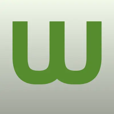 WOK ЛАГМАН, лого-визитка
